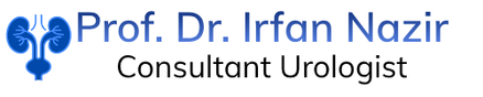 prof dr irfan nazir logo 01